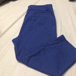 Sharagano 14 petite Capris